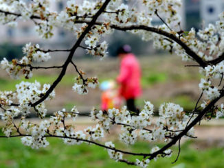 Primavera-da-incubo-per-l'intestino-copertina