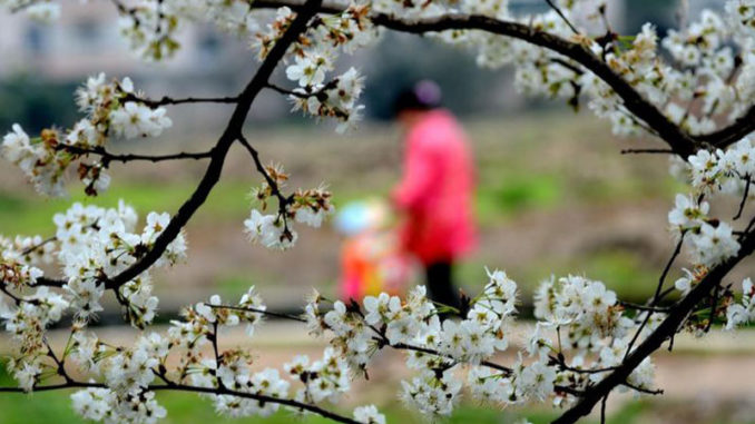 Primavera-da-incubo-per-l'intestino-copertina