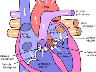 Valvola-Aortica-copertina