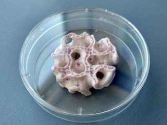 Ossa-in-3D-copertina