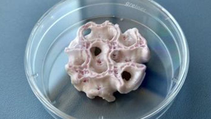 Ossa-in-3D-copertina