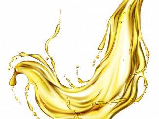 Bere-vegetale-copertina