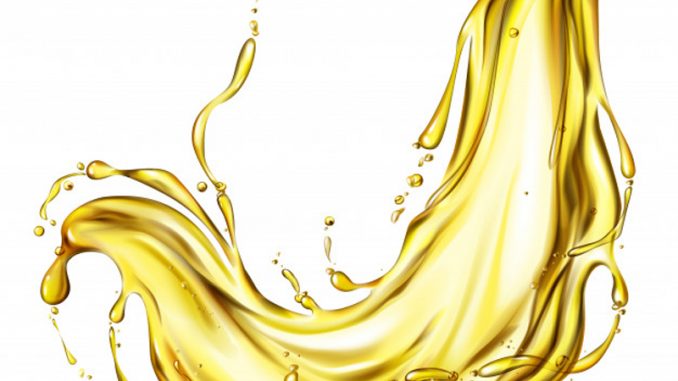 Bere-vegetale-copertina