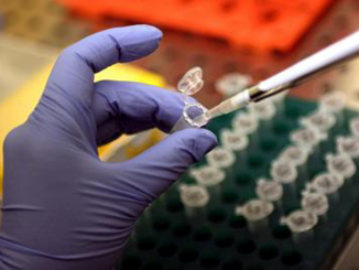 Cellule-dna-copertina