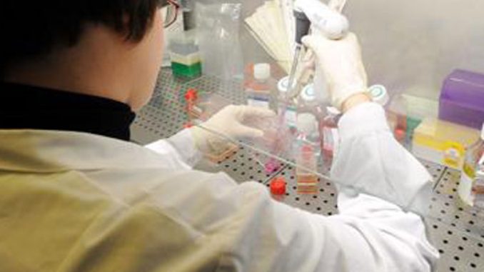 Tumori-al-Regina-Elena-di-Roma-200-sperimentazioni-cliniche-in-corso-copertina