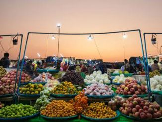 frutta_afp-copertina