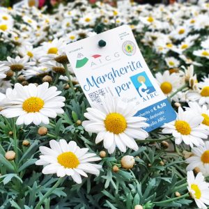 Margherita per Airc 2019-1