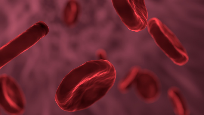 Emofilia-sangue1-copertina