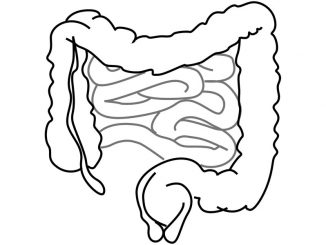 Intestino-copertina