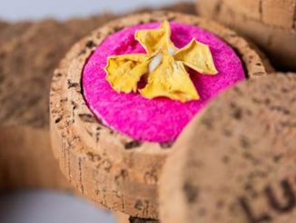 Sole-e-mare-la-routine-haircare-per-l'estate-copertina