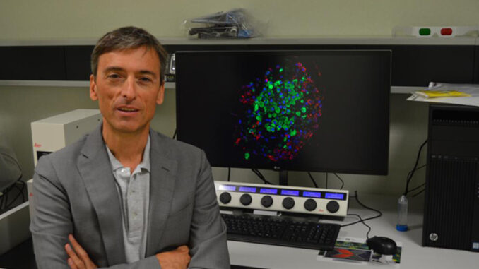 Prof-Paolo-Fiorina-cop