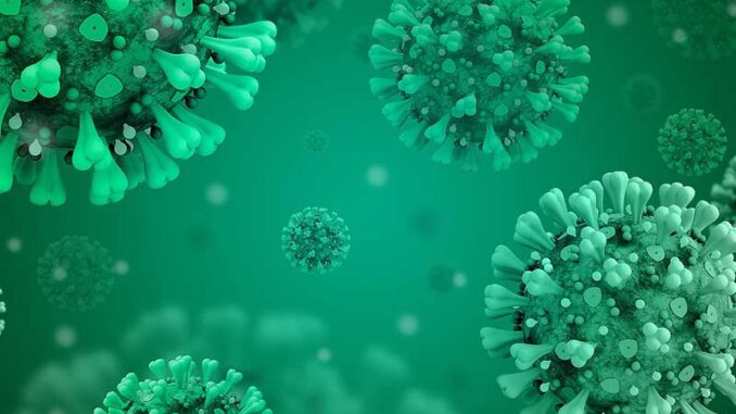 coronavirus-disease-covid-2019-5060522_1280-cop