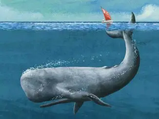 JANSSEN_DERMA_REUMA_BALENA_19OTT-cop