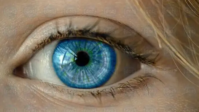 eye-cop