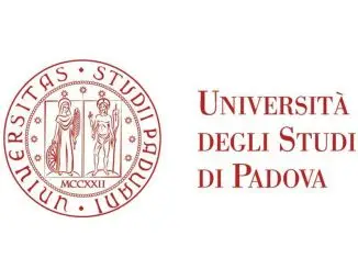 Logo Università degli Studi di Padova