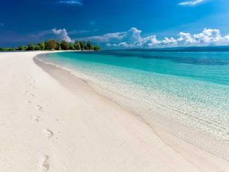 Spiaggia-cop